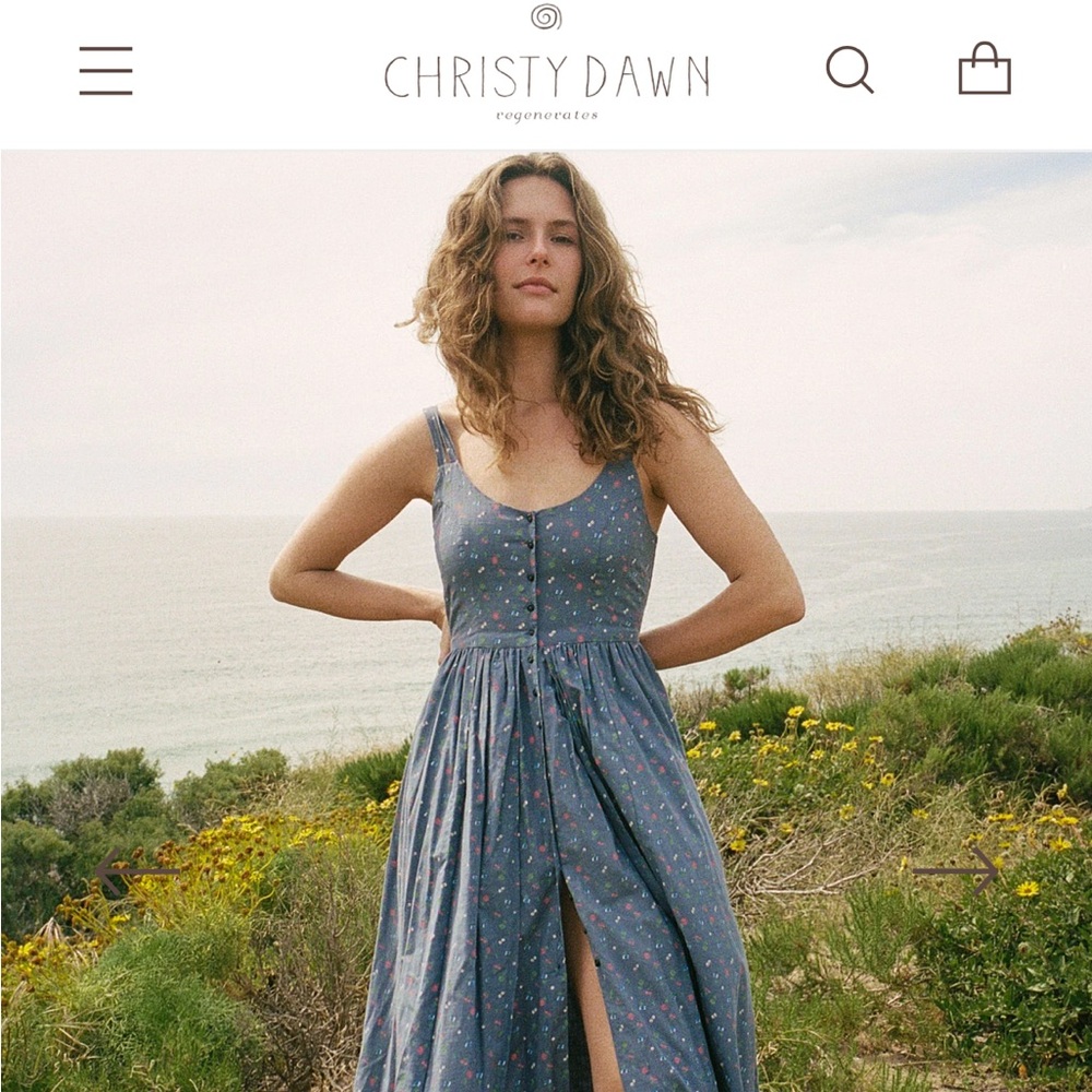 Christy Dawn “The Nicks” dress